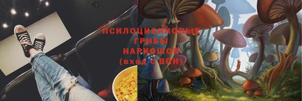 прущие грибы Нягань