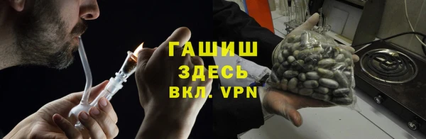 хмурый Абаза