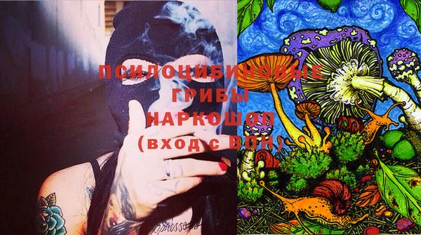 ECSTASY Нязепетровск