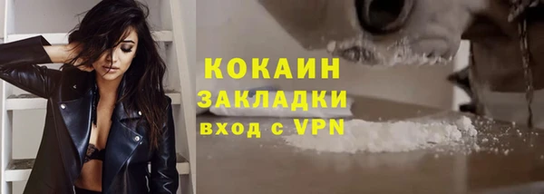 хмурый Абаза