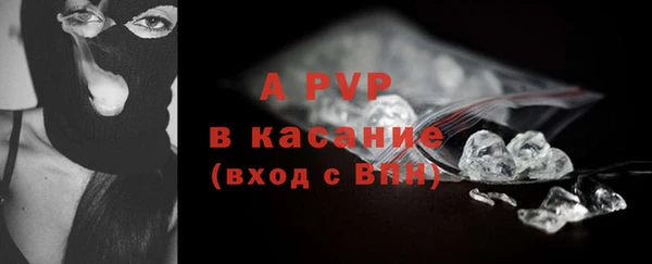 хмурый Абаза