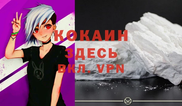 хмурый Абаза