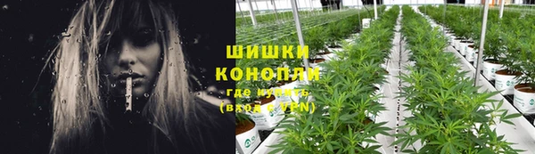 хмурый Абаза