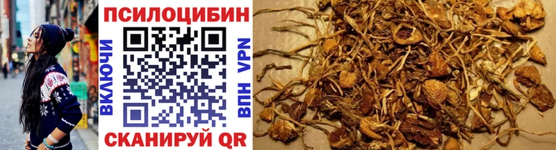 omg зеркало  Урень  Галлюциногенные грибы ЛСД 